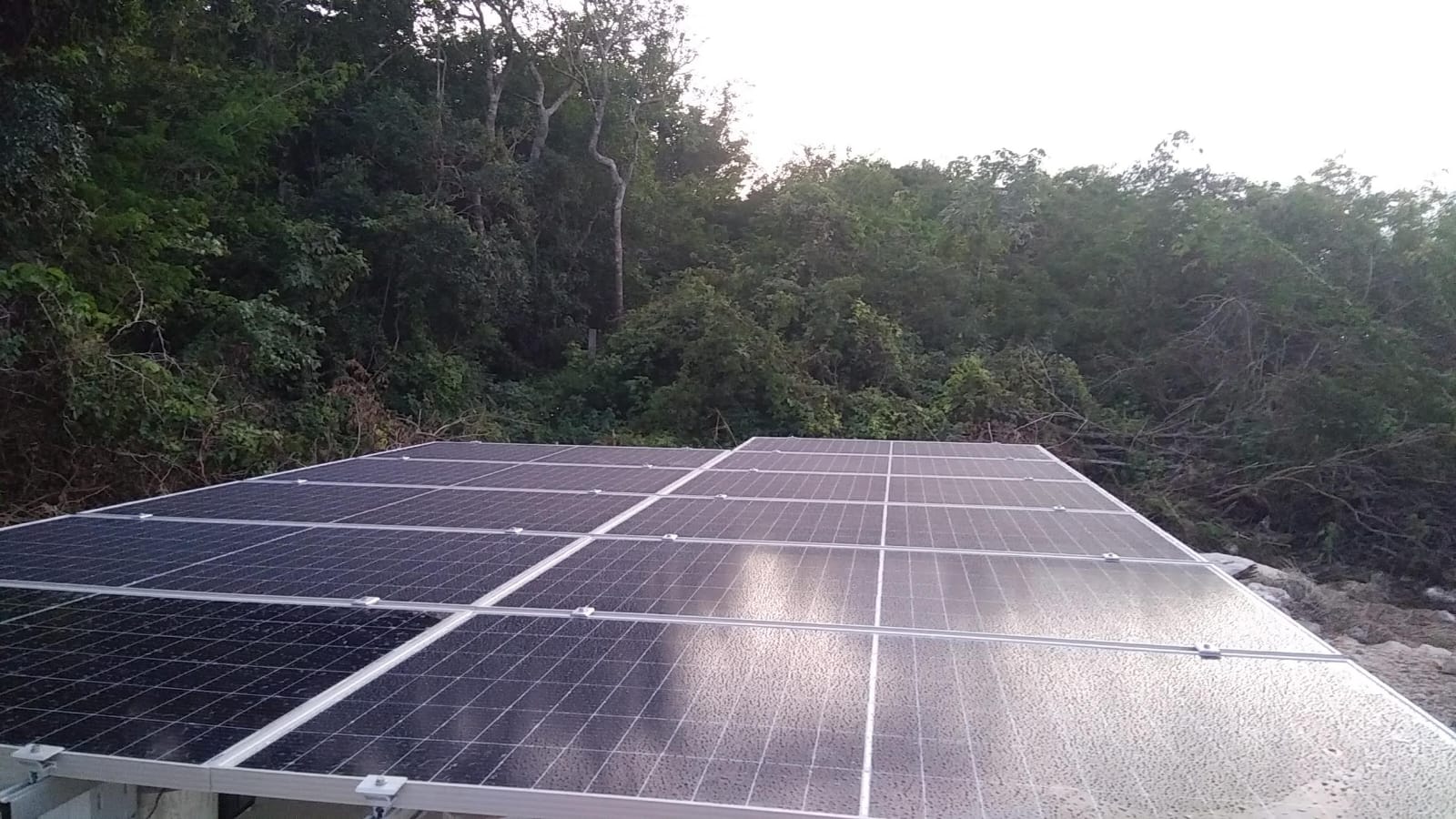 WhatsApp Image 2025-09-20 at 18.46.07 (3)